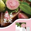 10011 SP2s思博瑞 一代通用蛋