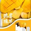 10012 SP2s思博瑞 一代通用蛋