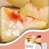 10018 SP2s思博瑞 一代通用蛋