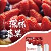 10019 SP2s思博瑞 一代通用蛋